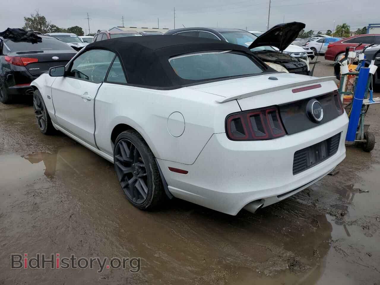 2014 FORD MUSTANG - VIN: 1ZVBP8FF4E5209456 - Фото 2