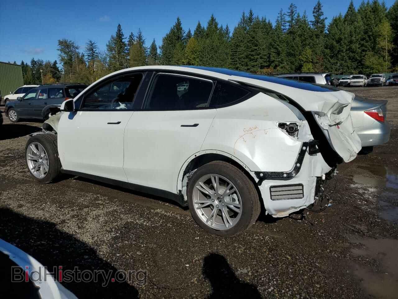 2023 TESLA MODEL Y - VIN: 7SAYGDEE4PF783932 - Фото 2