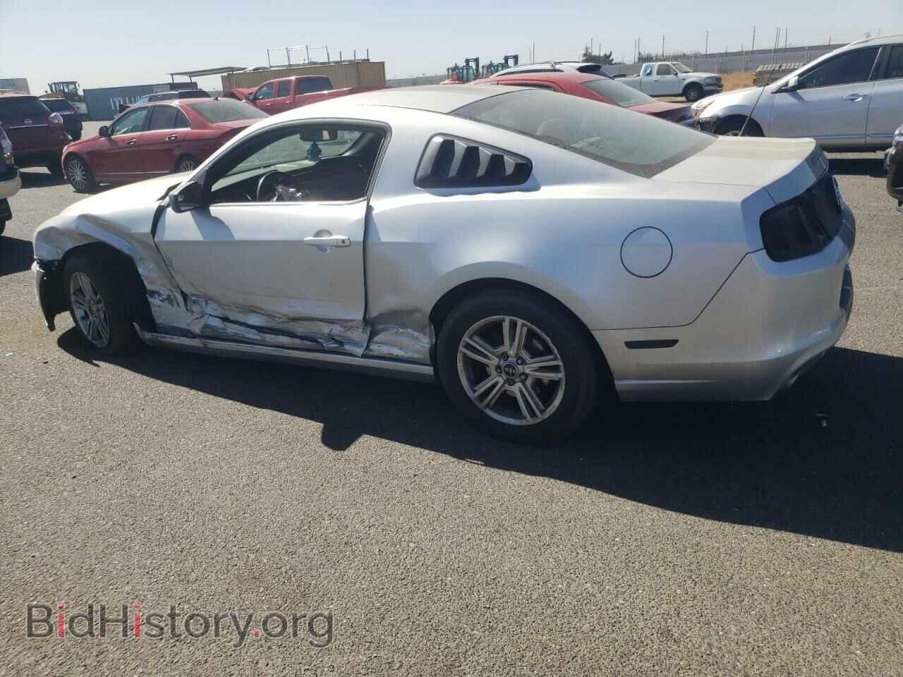 2013 FORD ALL Models - VIN: 1ZVBP8AMXD5280116 - Фото 2