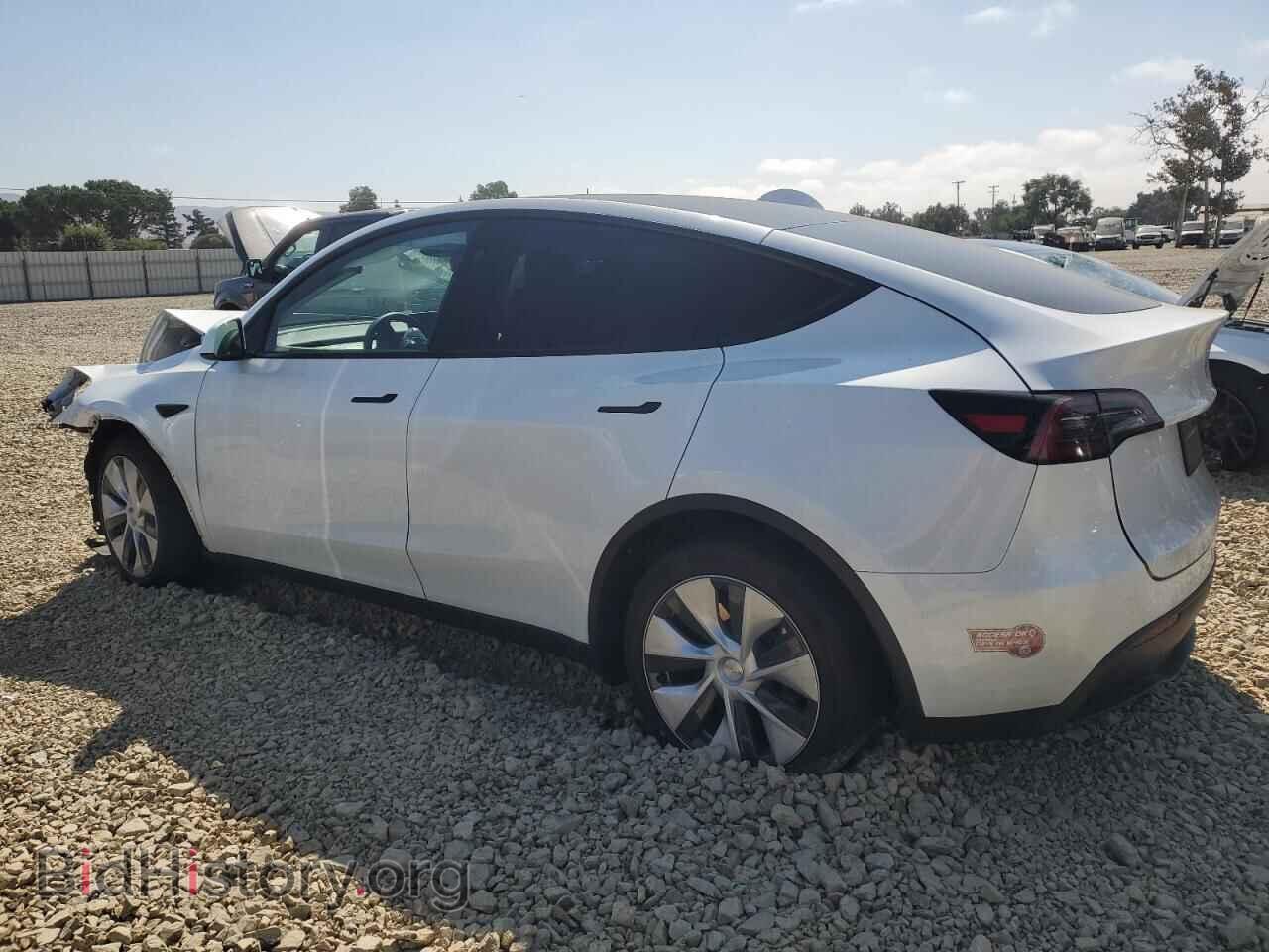 2024 TESLA MODEL Y - VIN: 7SAYGDEE5RF066748 - Photo 2