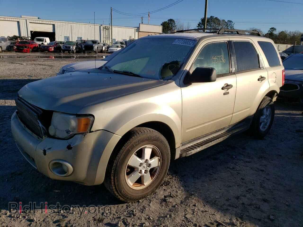 Фотография 1FMCU0DG1AKB32050 - FORD ESCAPE 2010