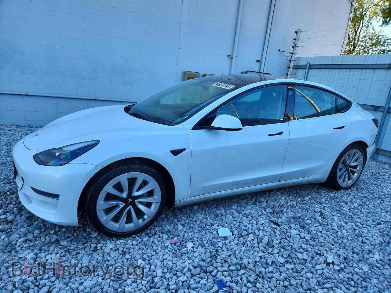 Photo 5YJ3E1EA6PF449281 - TESLA MODEL 3 2023