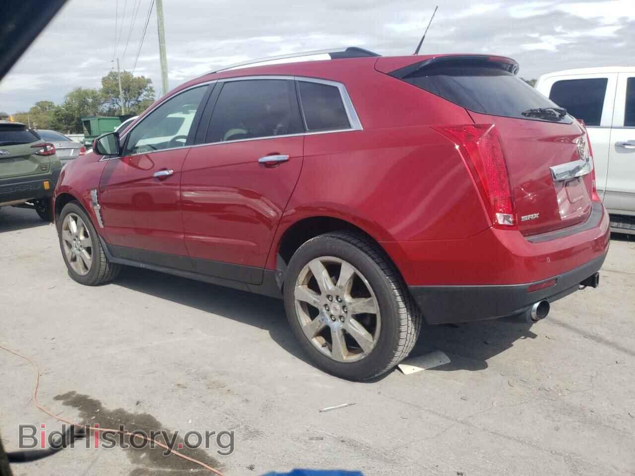 2010 CADILLAC SRX - VIN: 3GYFNBEY6AS628400 - Фото 2