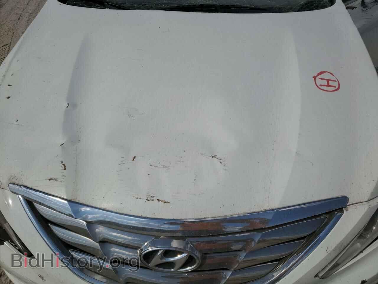 2013 HYUNDAI SONATA - VIN: 5NPEC4AC1DH664314 - Фото 11