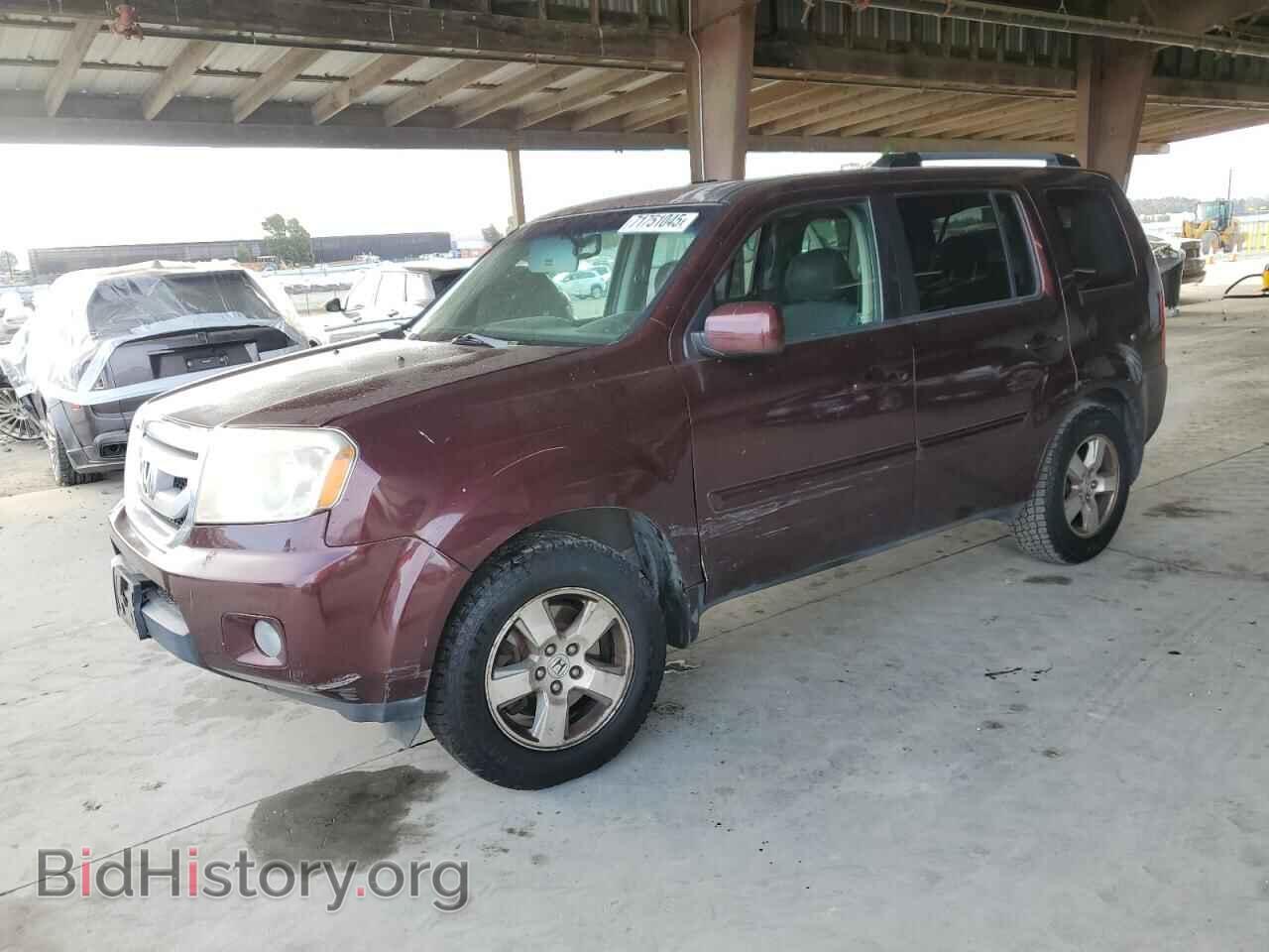 Фотография 5FNYF38419B002199 - HONDA PILOT 2009