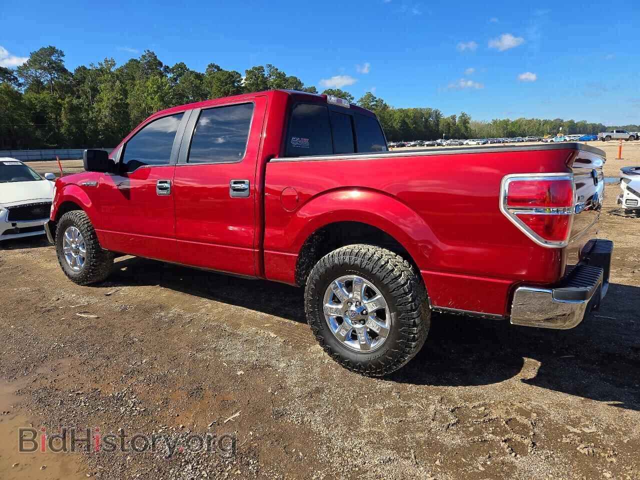 2013 FORD F150 - VIN: 1FTEW1CM2DFD63217 - Фото 2