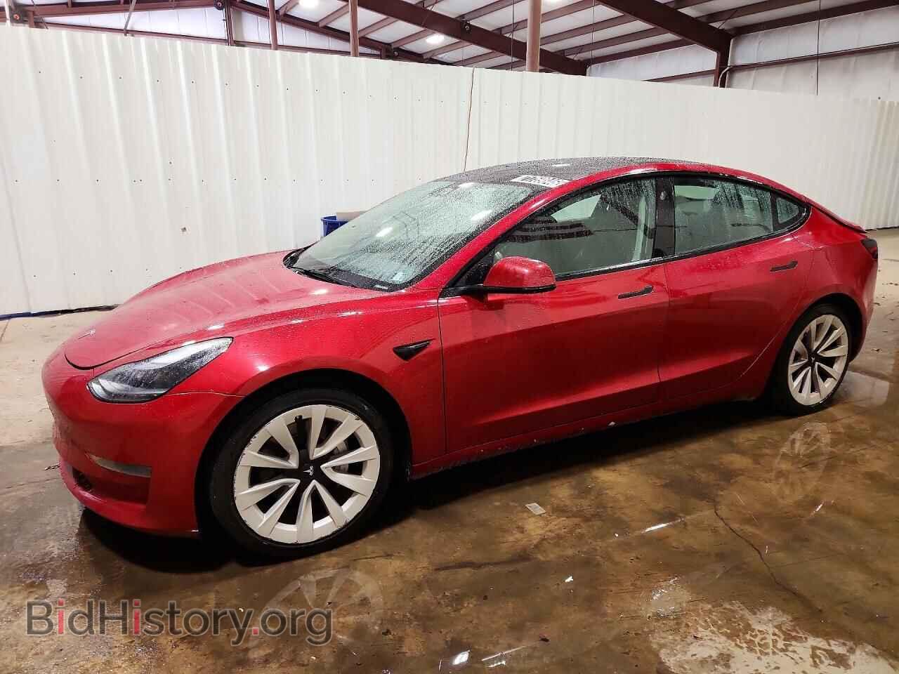 Photo 5YJ3E1EA2PF450217 - TESLA MODEL 3 2023