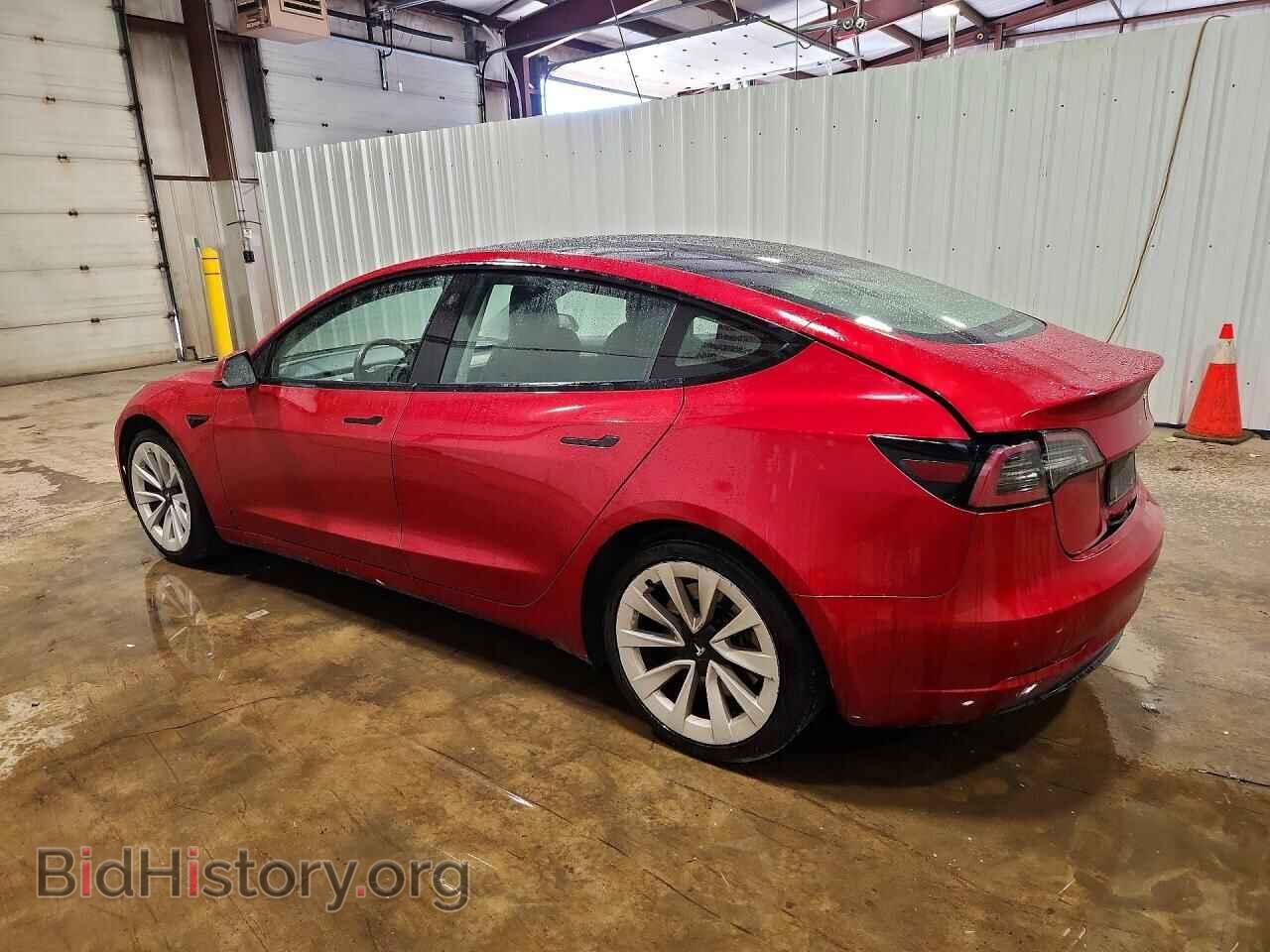 2023 TESLA MODEL 3 - VIN: 5YJ3E1EA2PF450217 - Photo 2