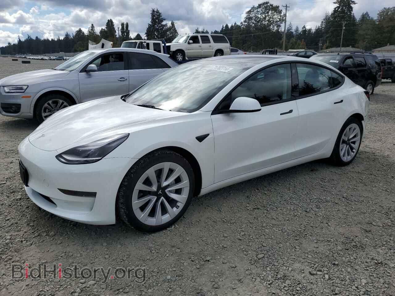 Photo 5YJ3E1EA6PF650081 - TESLA MODEL 3 2023