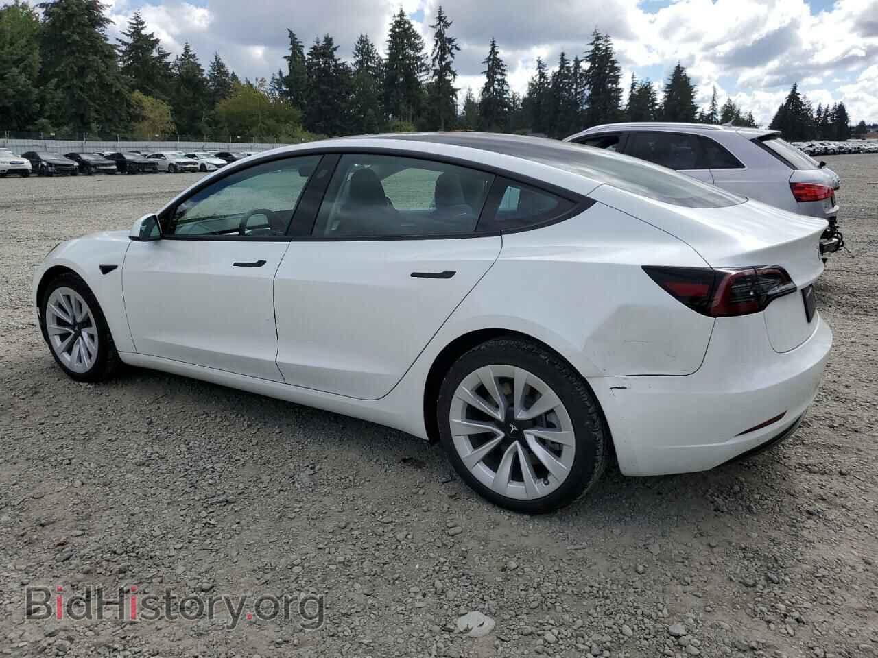2023 TESLA MODEL 3 - VIN: 5YJ3E1EA6PF650081 - Photo 2