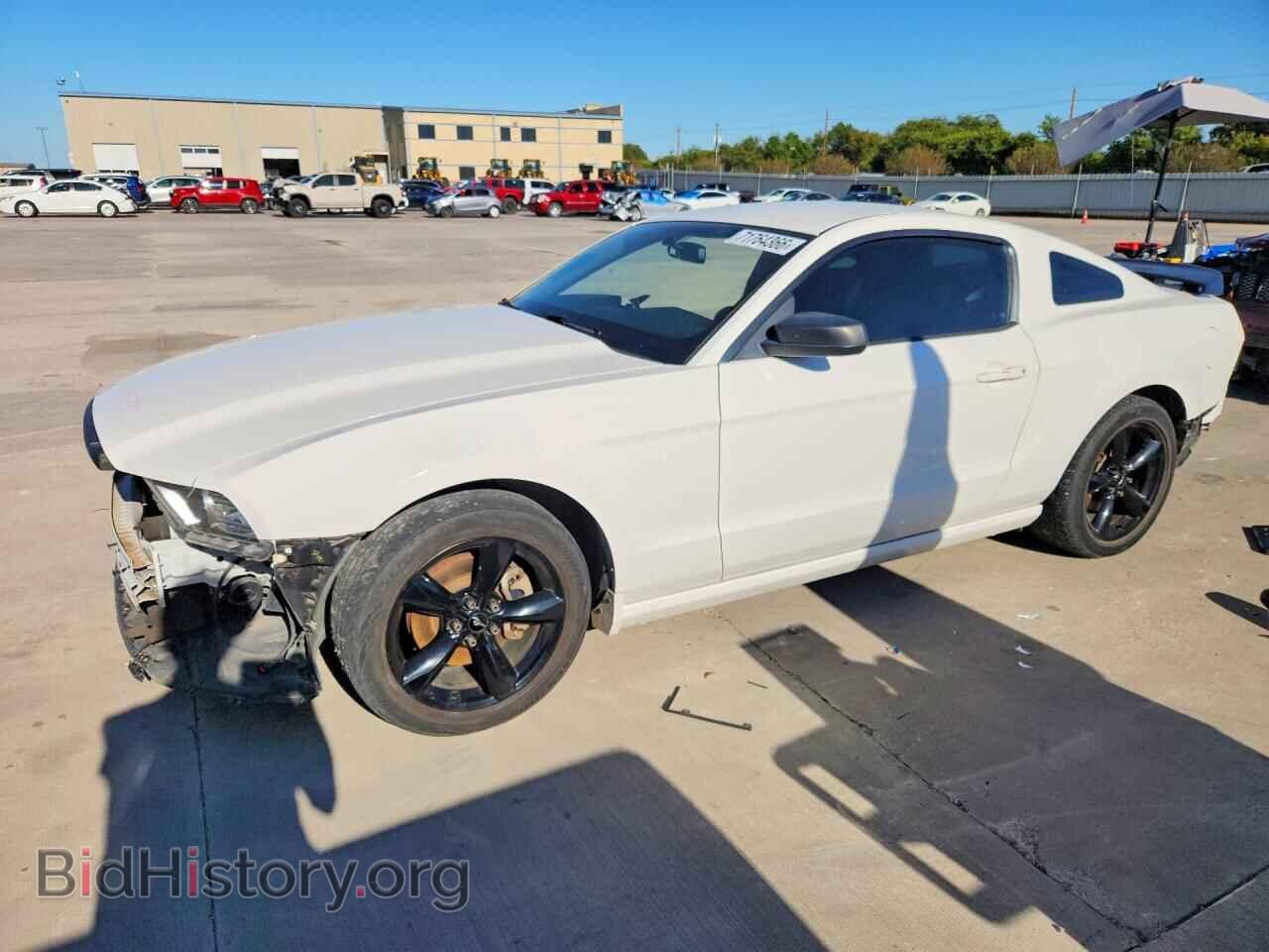 Фотография 1ZVBP8AM7D5268389 - FORD MUSTANG 2013