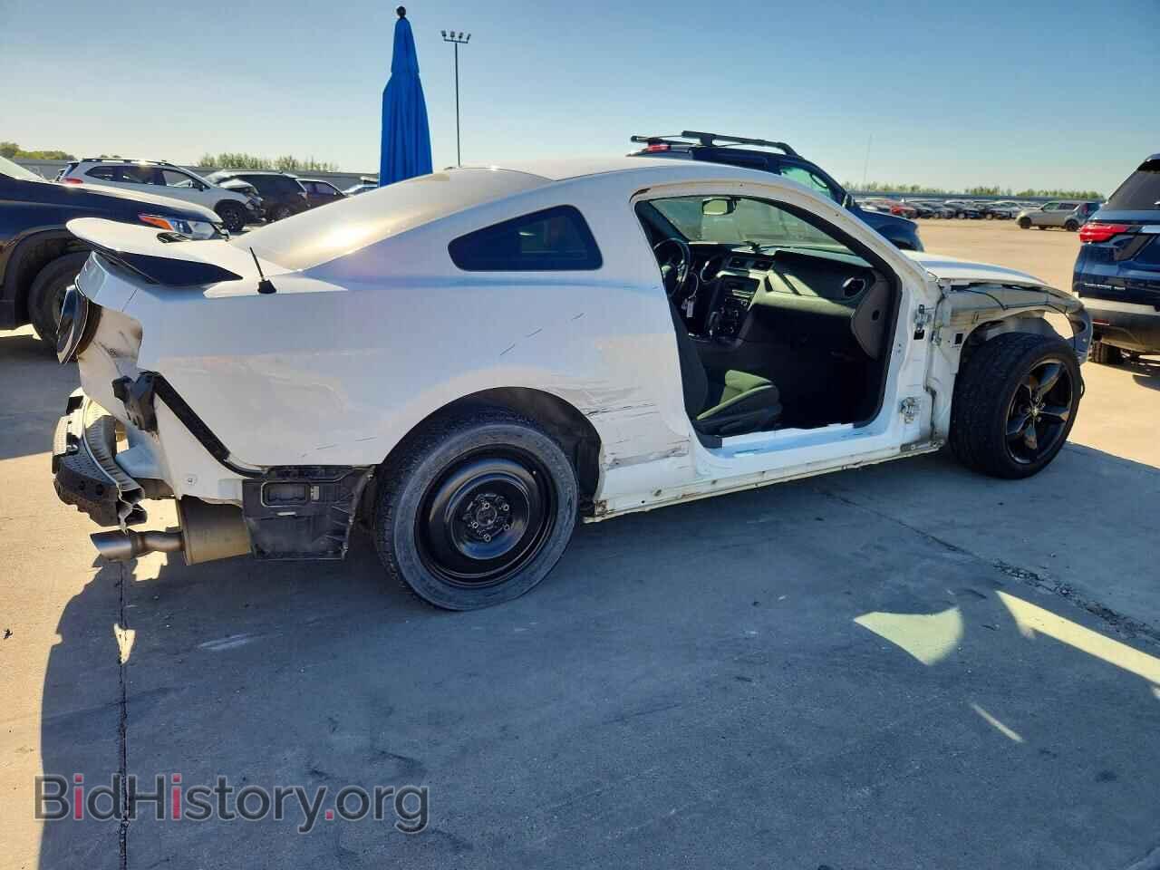 2013 FORD MUSTANG - VIN: 1ZVBP8AM7D5268389 - Фото 3