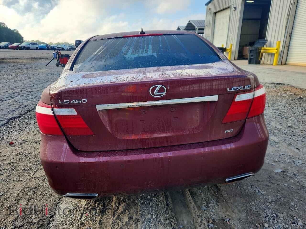 2009 LEXUS LS460 - VIN: JTHCL46FX95003462 - Фото 6