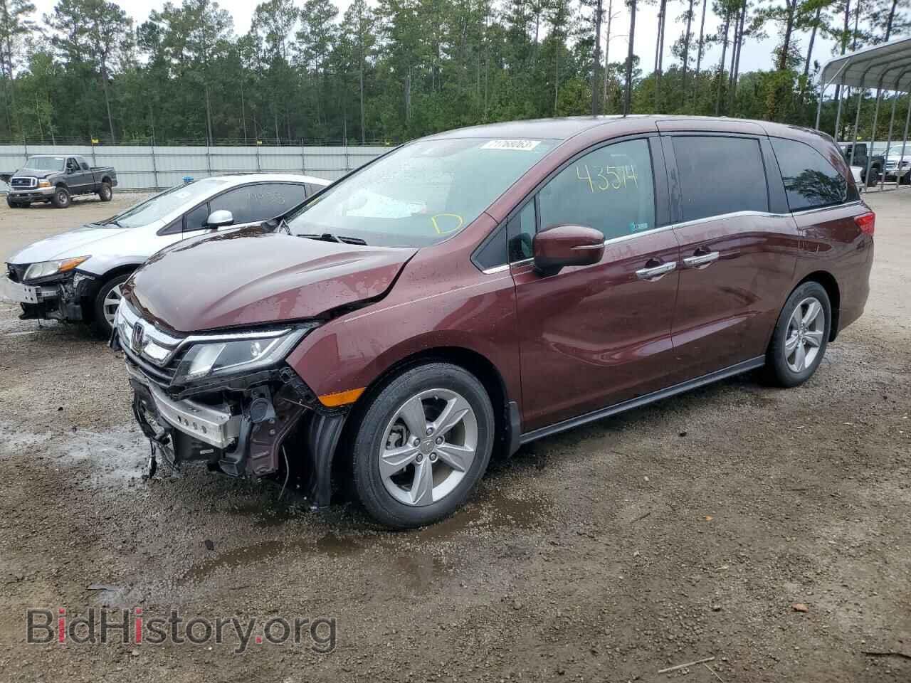 Photo 5FNRL6H55LB054921 - HONDA All Models 2020