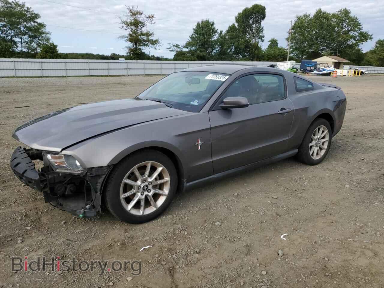 Photo 1ZVBP8AN3A5179763 - FORD ALL Models 2010