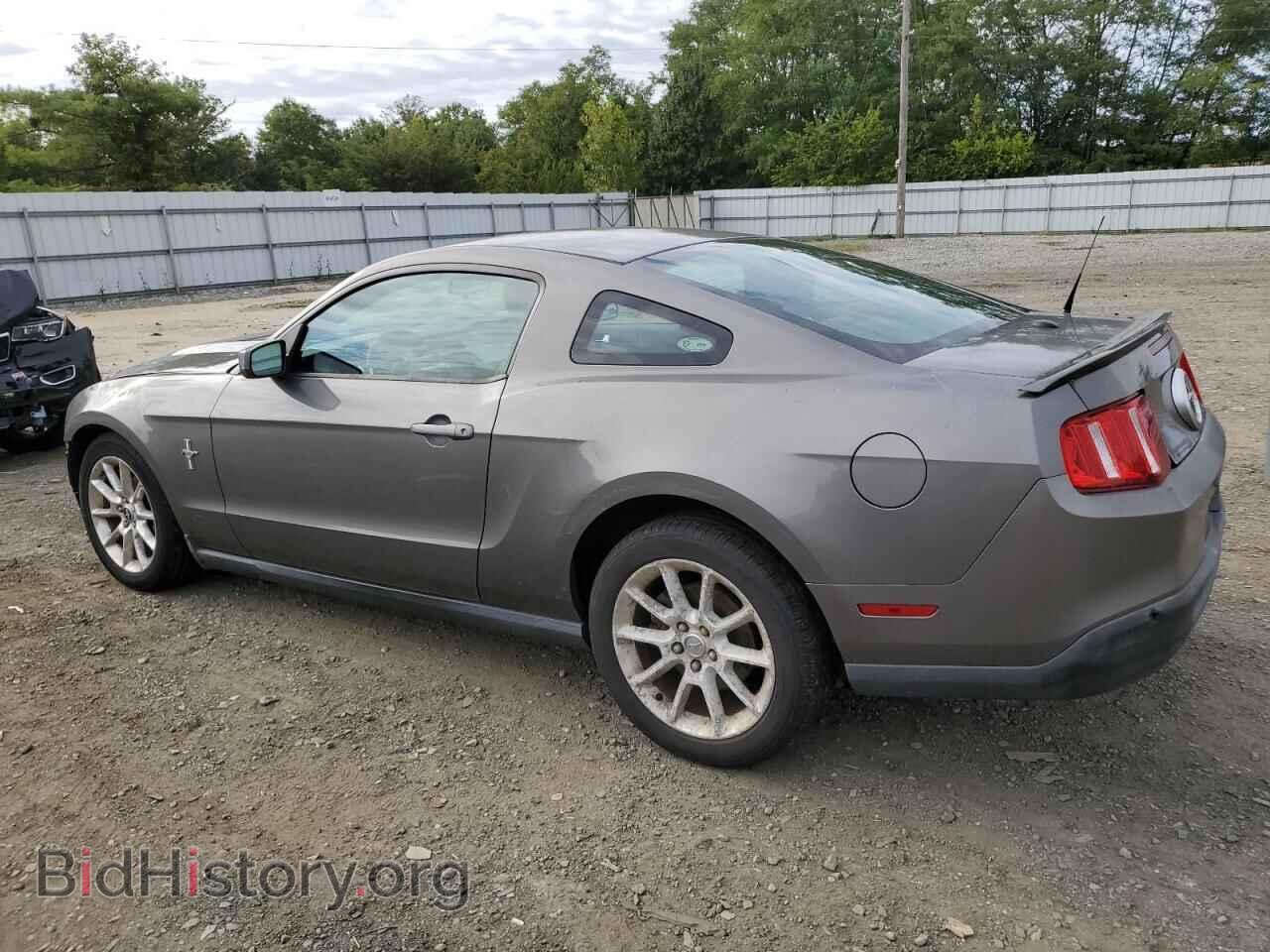 2010 FORD ALL Models - VIN: 1ZVBP8AN3A5179763 - Фото 2