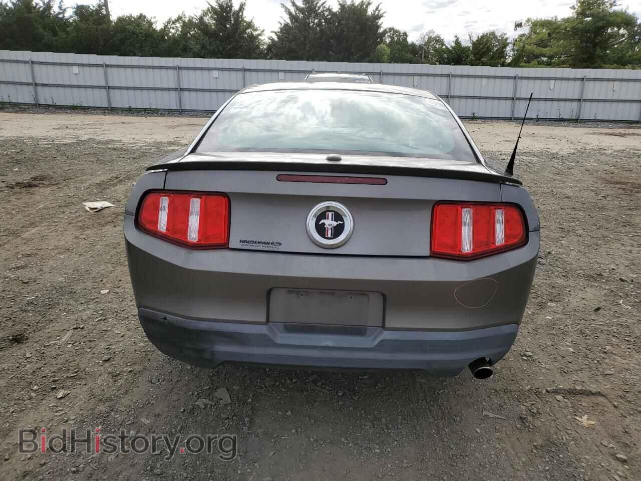 2010 FORD ALL Models - VIN: 1ZVBP8AN3A5179763 - Фото 6