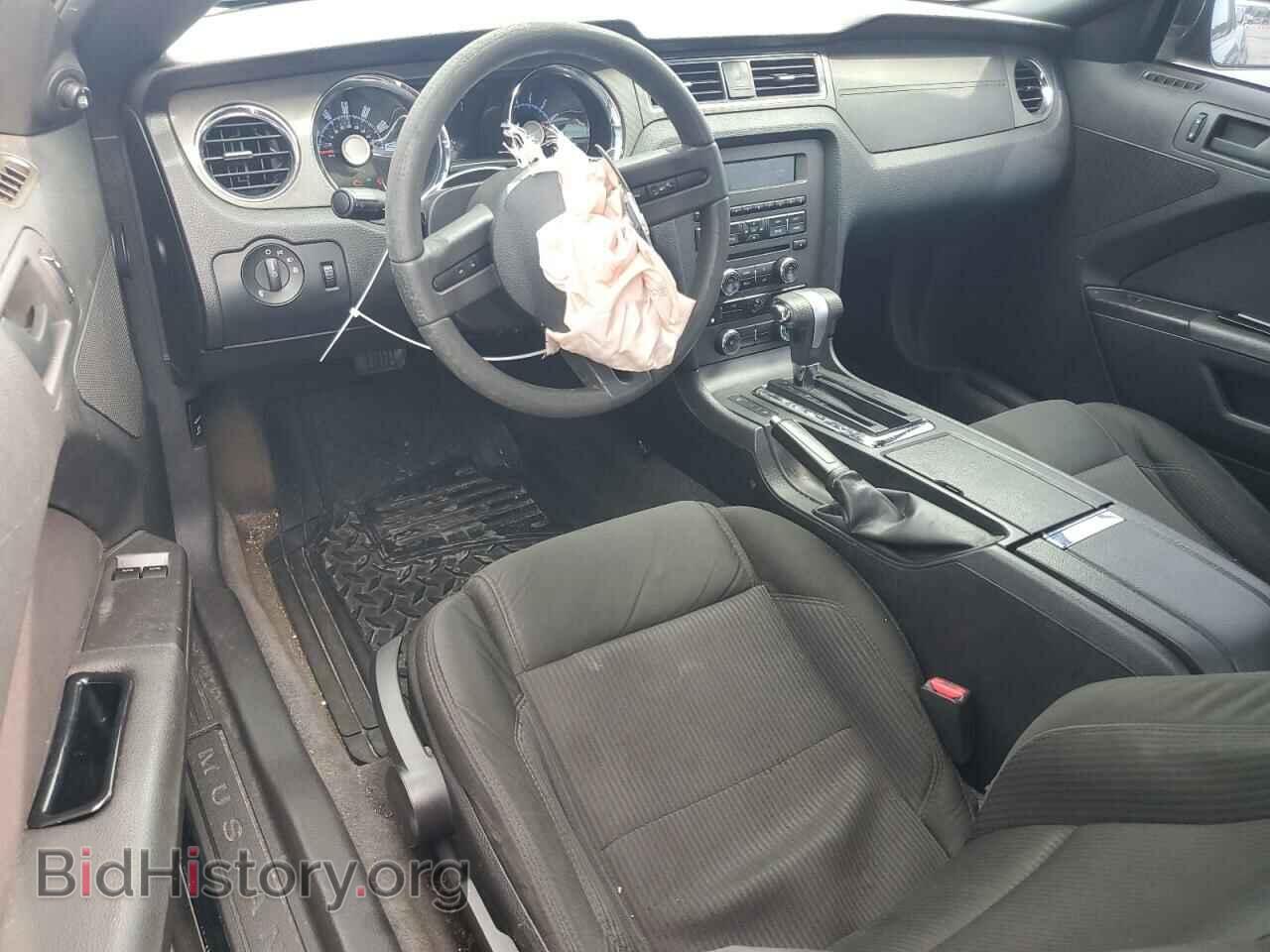 2010 FORD ALL Models - VIN: 1ZVBP8AN3A5179827 - Фото 8