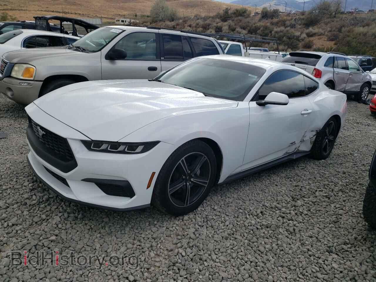 Photo 1FA6P8TH3R5106065 - FORD ALL Models 2024