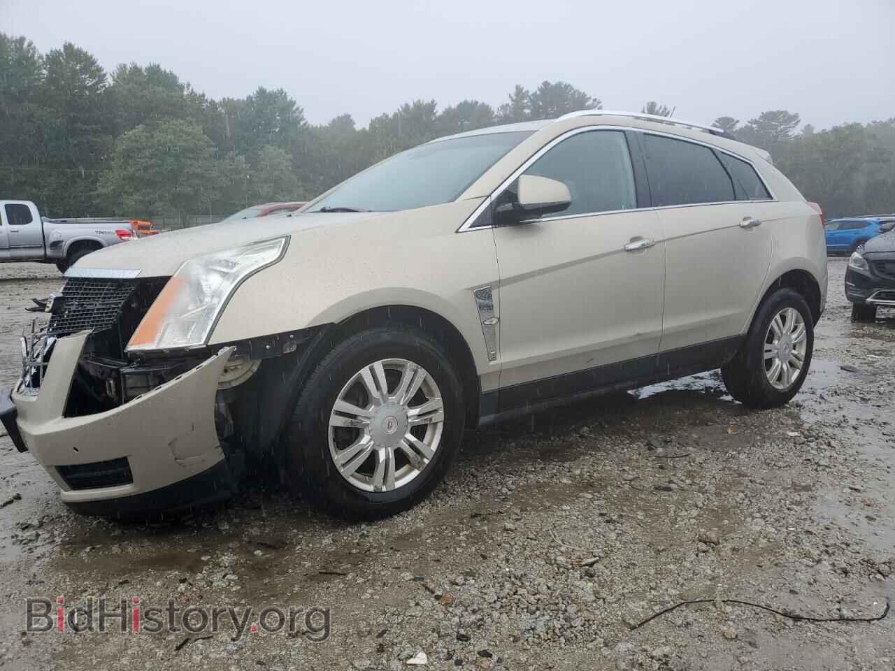 Фотография 3GYFNDE33CS623674 - CADILLAC SRX 2012