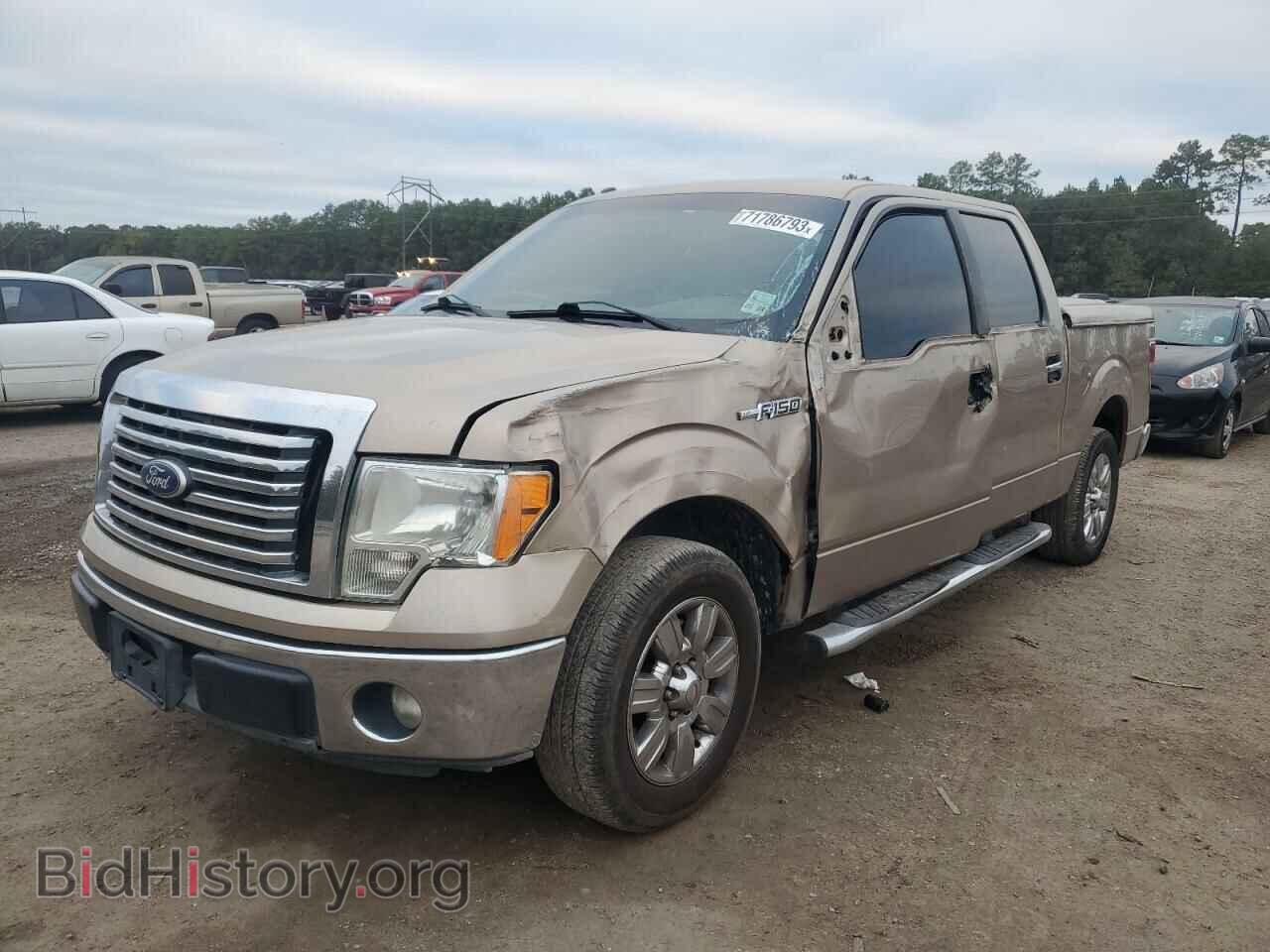 Photo 1FTFW1CF9BKD09665 - FORD F-150 2011