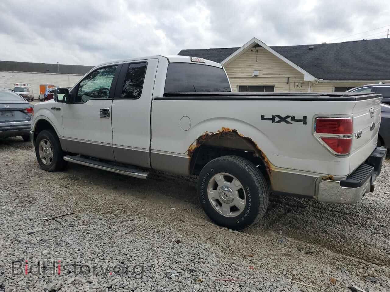 2013 FORD F-150 - VIN: 1FTFX1EF1DFA21421 - Фото 2