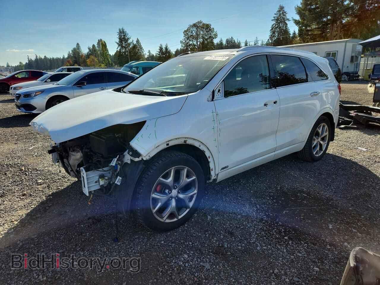 Photo 5XYPKDA59HG311281 - KIA SORENTO 2017