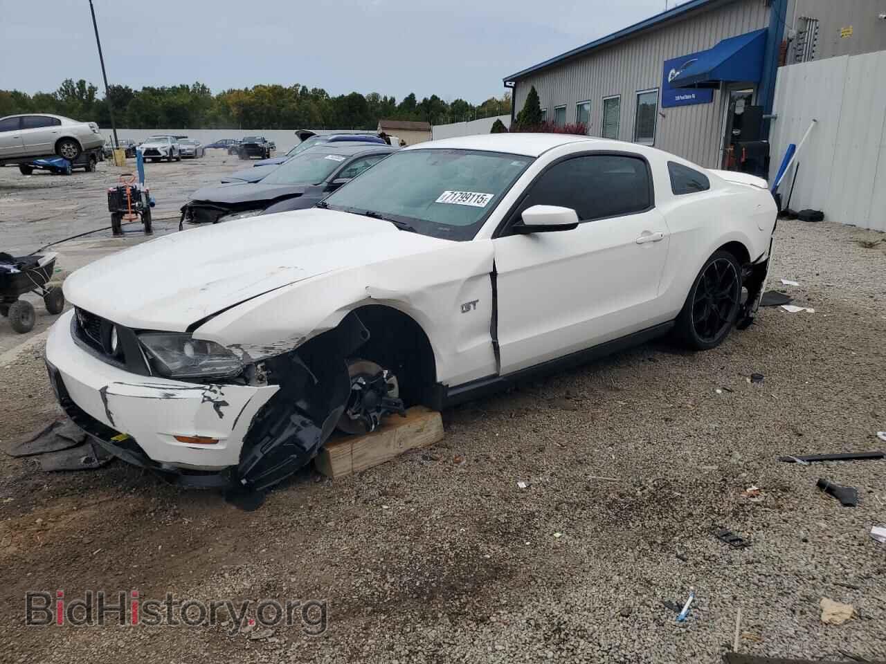 Фотография 1ZVBP8CH7A5115569 - FORD MUSTANG 2010