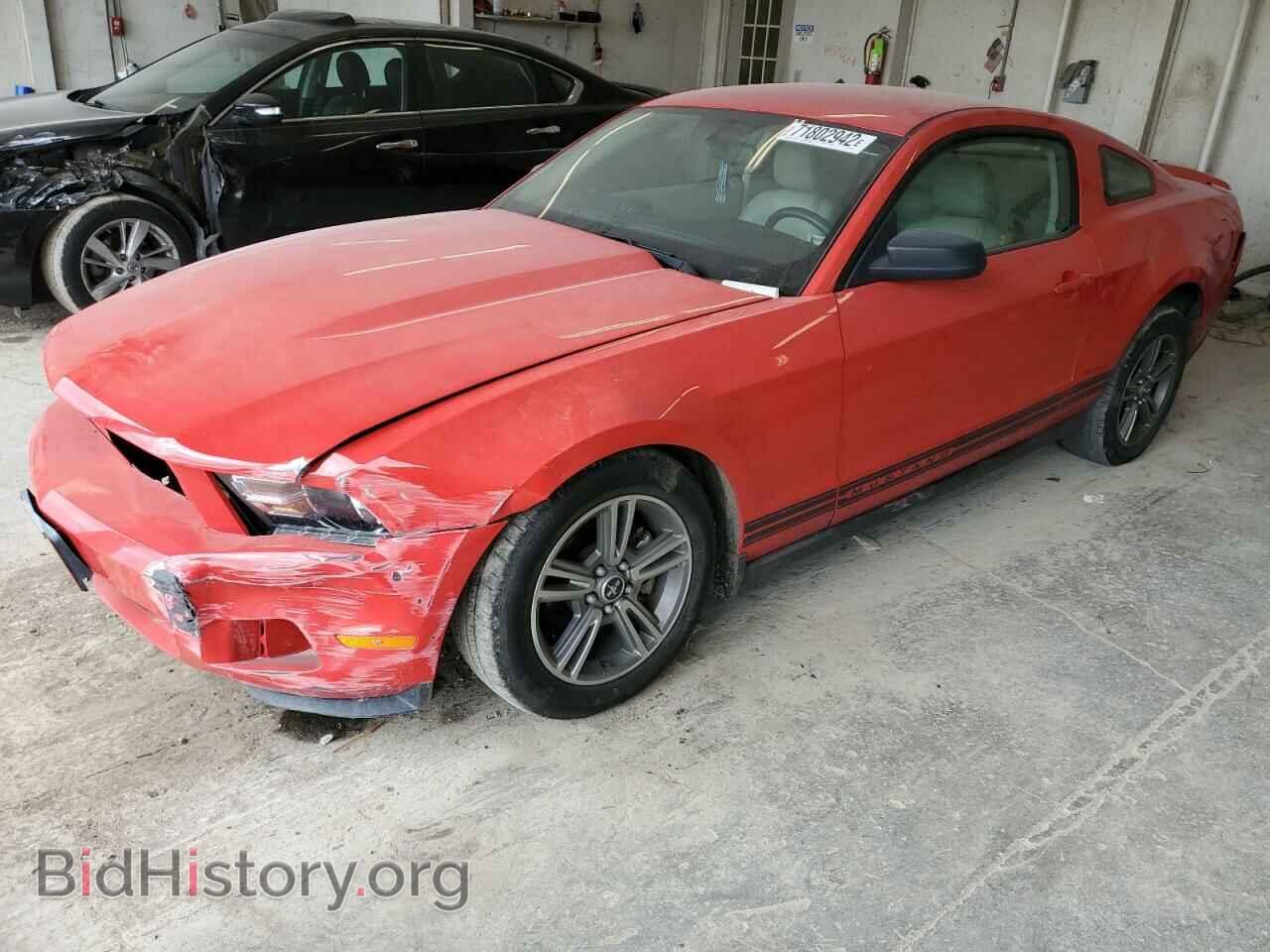 Photo 1ZVBP8ANXA5107006 - FORD MUSTANG 2010