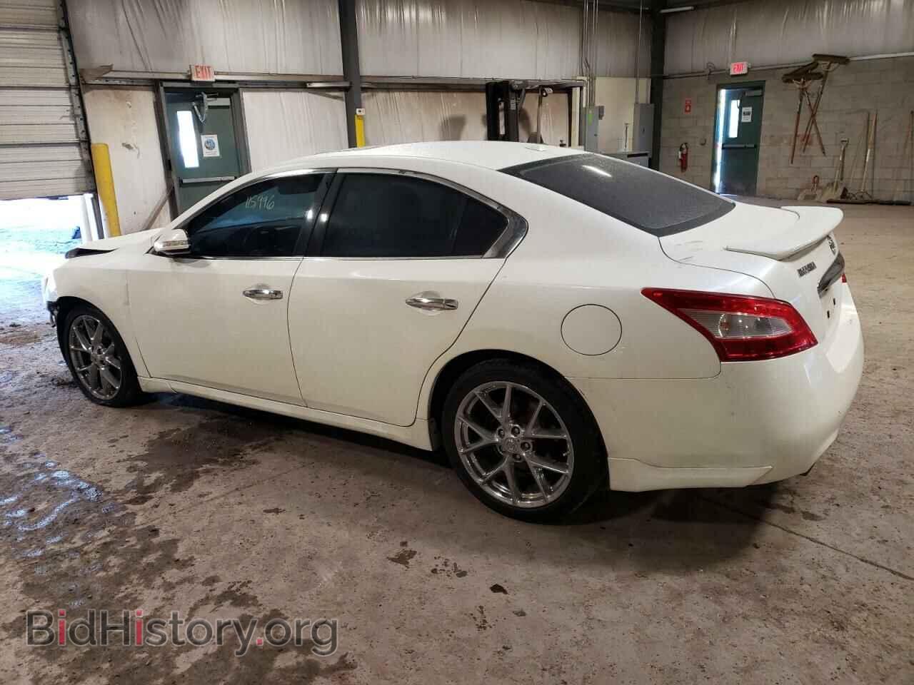 2010 NISSAN MAXIMA - VIN: 1N4AA5AP2AC816093 - Фото 2