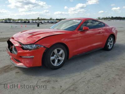 2019 Ford ALL MODELS, красный — VIN 1FA6P8TH2K5200024, Copart
