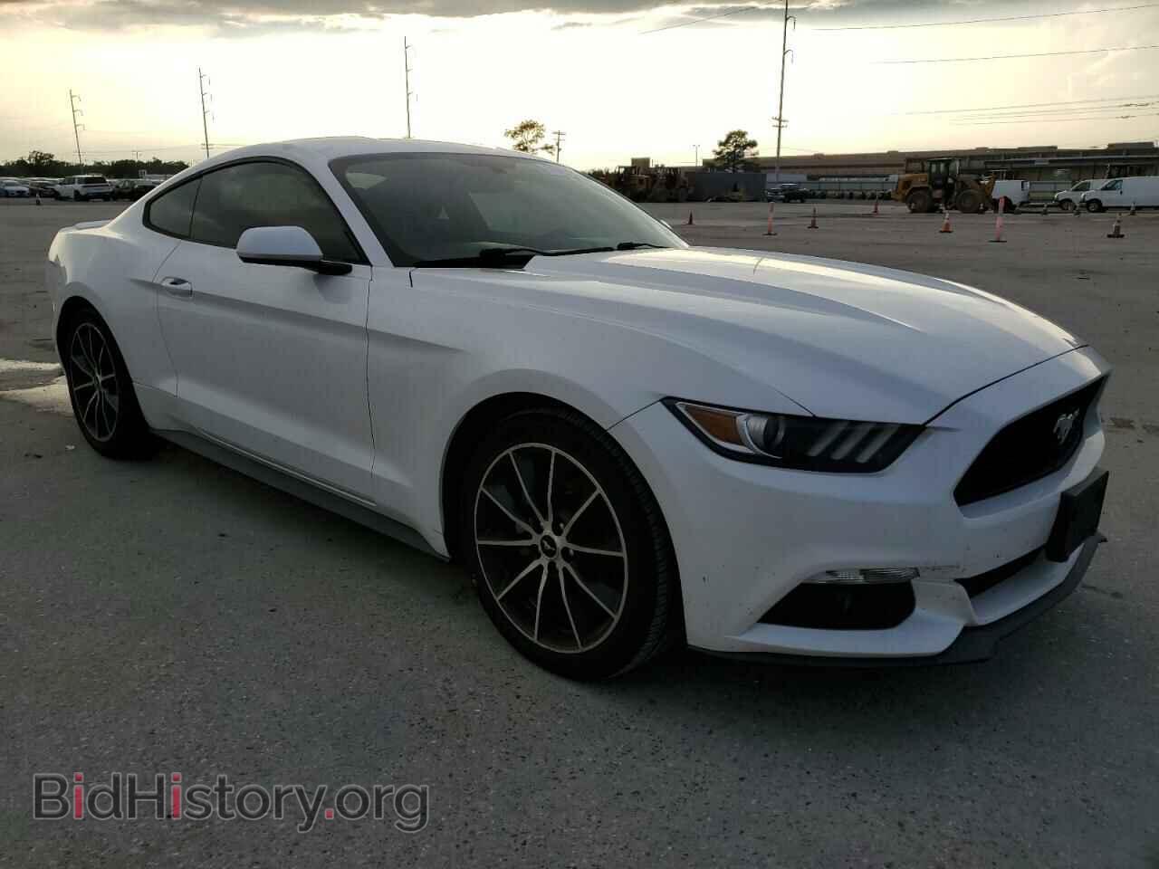 2017 FORD ALL Models - VIN: 1FA6P8TH9H5263002 - Фото 4