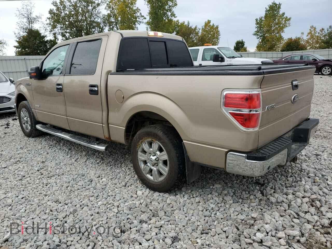 2012 FORD F-150 - VIN: 1FTFW1CT7CFA34698 - Фото 2