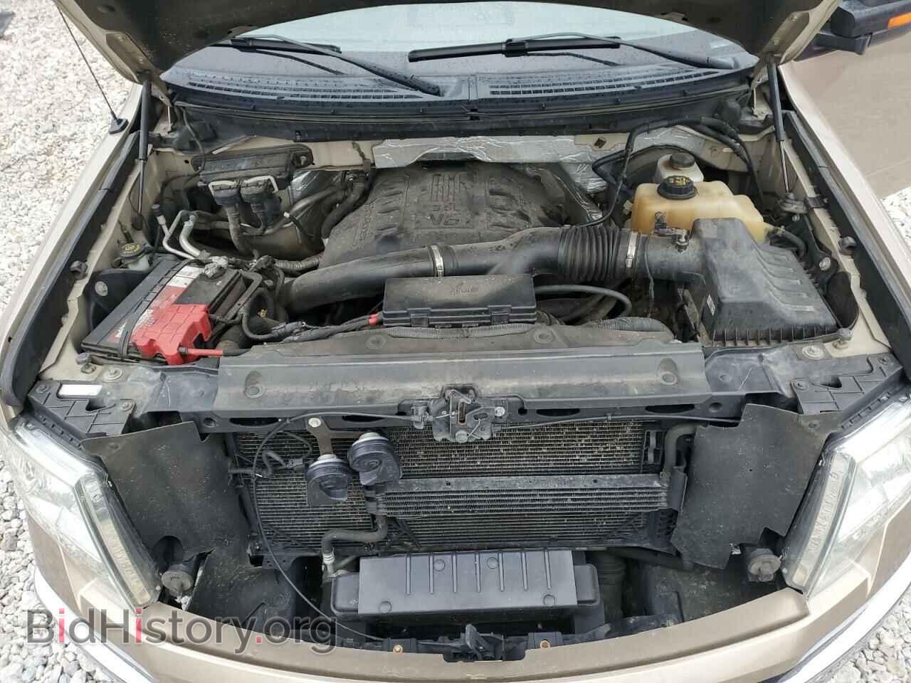 2012 FORD F-150 - VIN: 1FTFW1CT7CFA34698 - Фото 11