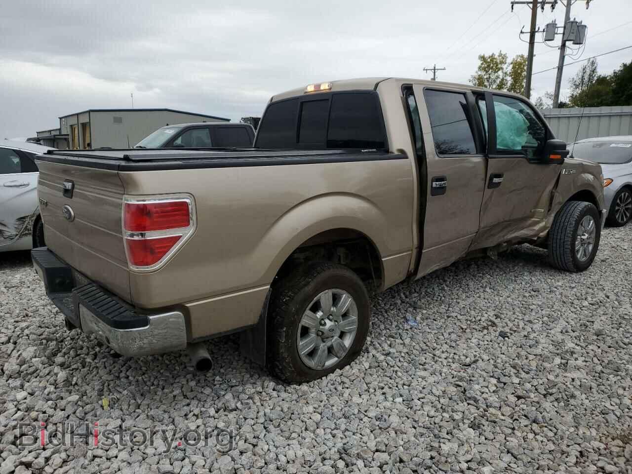 2012 FORD F-150 - VIN: 1FTFW1CT7CFA34698 - Фото 3
