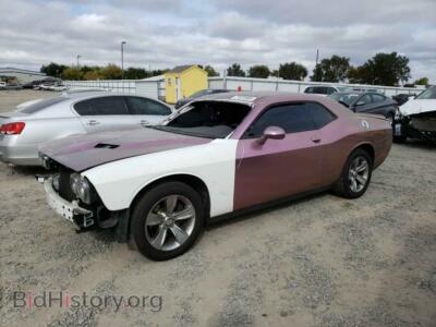 2019 Dodge CHALLENGER SXT, розовый — VIN 2C3CDZAG0KH534720, Copart