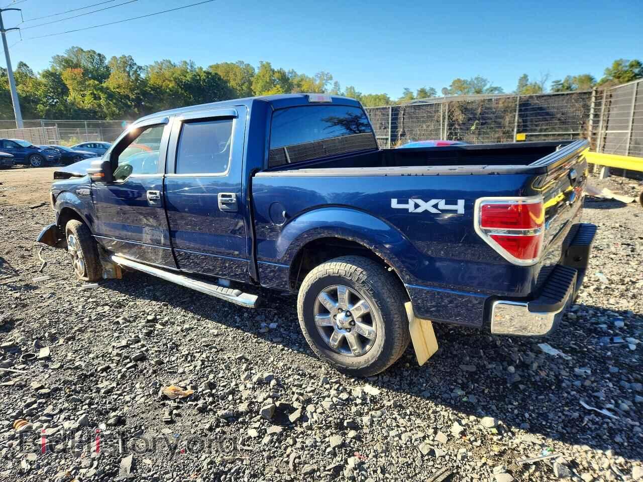 2013 FORD F150 - VIN: 1FTFW1EF1DFD29806 - Photo 2