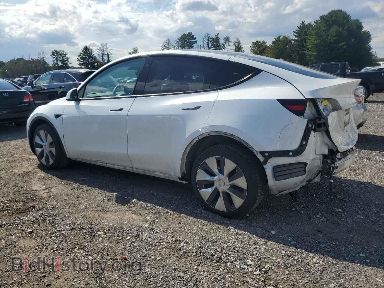 2022 TESLA MODEL Y - VIN: 7SAYGDEE1NF441125 - Фото 2