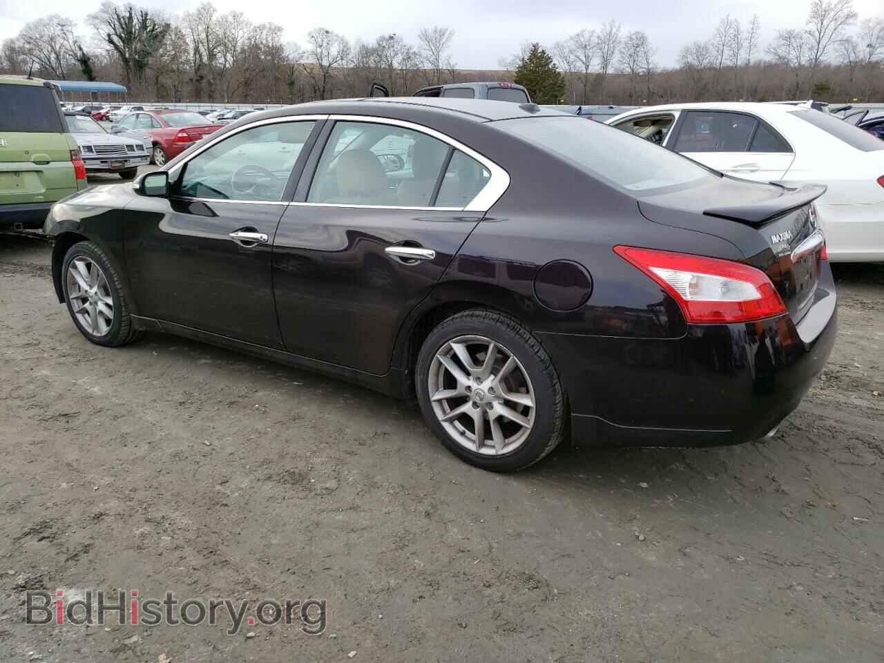 2010 NISSAN MAXIMA - VIN: 1N4AA5AP6AC842809 - Фото 2