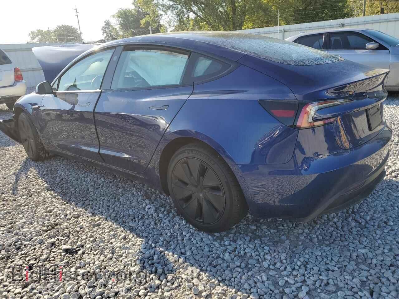 2024 TESLA MODEL 3 - VIN: 5YJ3E1EA1RF784502 - Photo 2