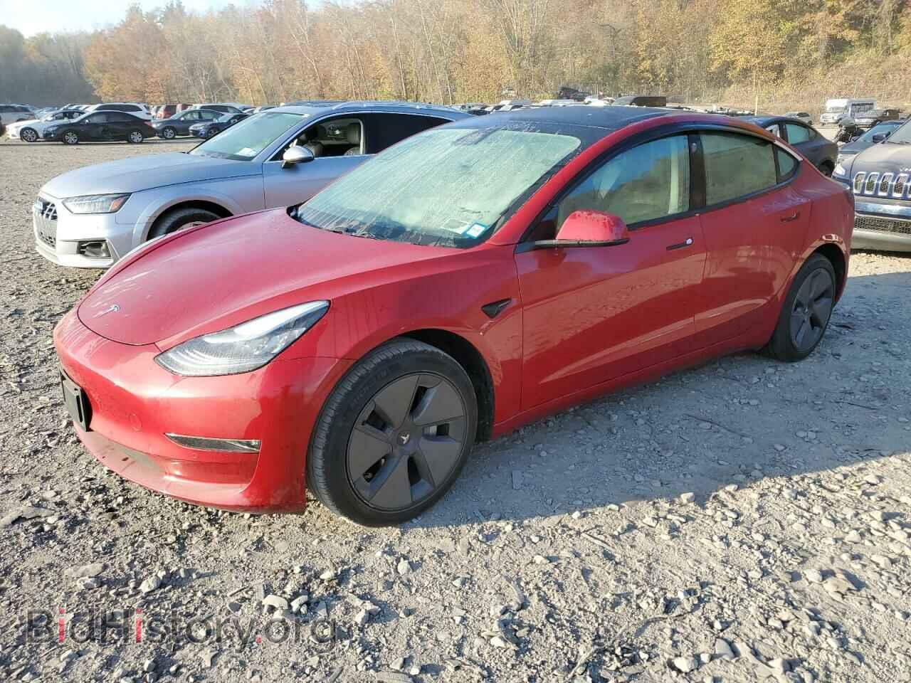Фотография 5YJ3E1EA7KF394848 - TESLA MODEL 3 2019