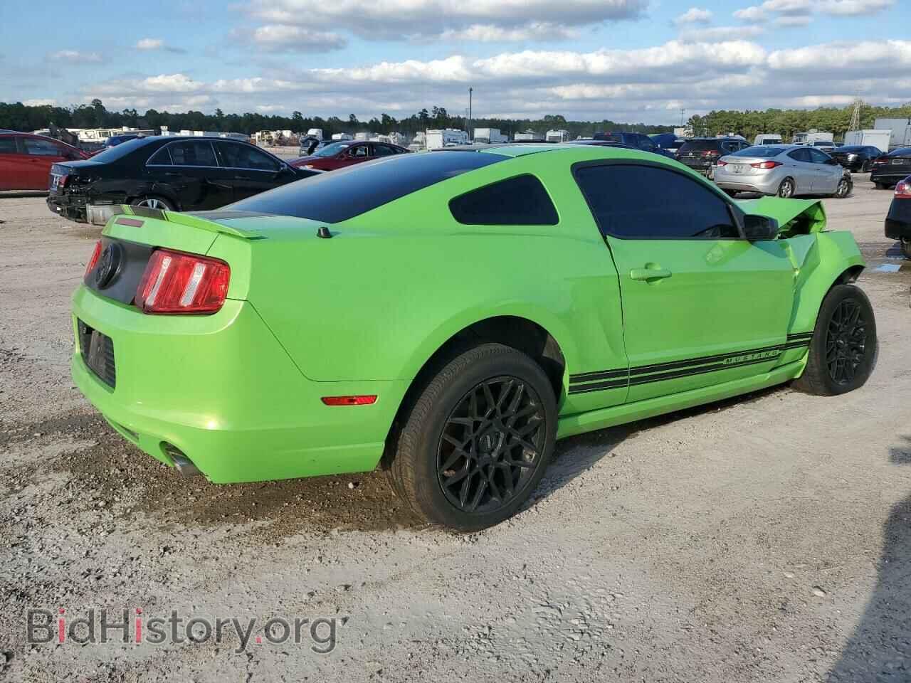 2013 FORD ALL Models - VIN: 1ZVBP8AM1D5243293 - Фото 3