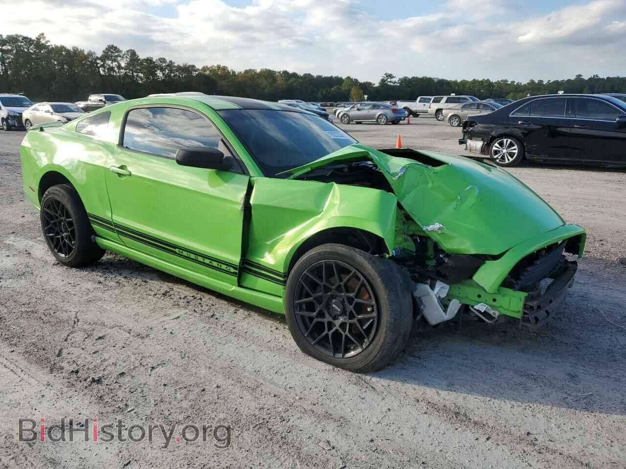 2013 FORD ALL Models - VIN: 1ZVBP8AM1D5243293 - Фото 4