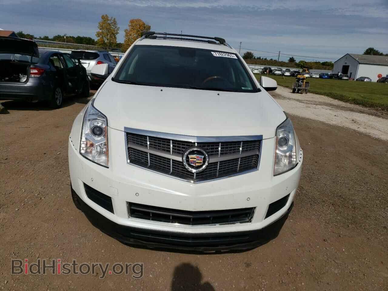 2010 CADILLAC SRX - VIN: 3GYFNAEY0AS563229 - Фото 5
