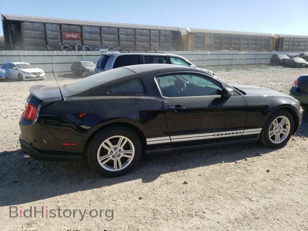 2010 FORD ALL Models - VIN: 1ZVBP8AN7A5164344 - Фото 3