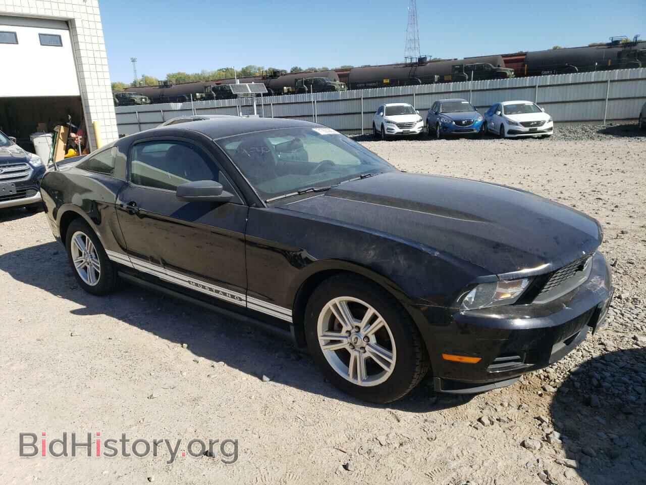 2010 FORD ALL Models - VIN: 1ZVBP8AN7A5164344 - Фото 4