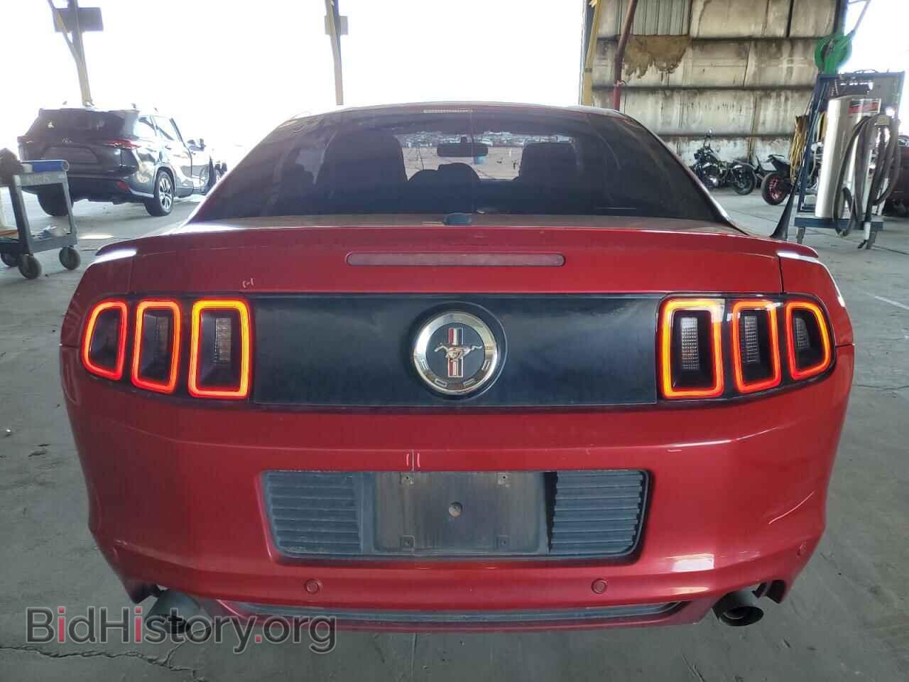 2013 FORD ALL Models - VIN: 1ZVBP8AM5D5264454 - Фото 6