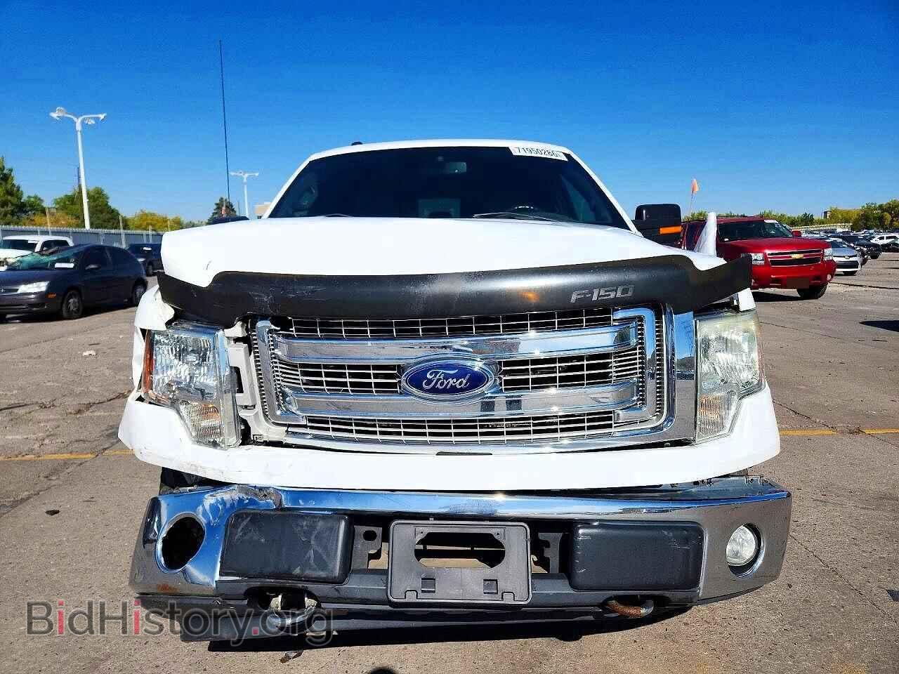 2013 FORD F150 - VIN: 1FTFX1EF9DKF95868 - Фото 5