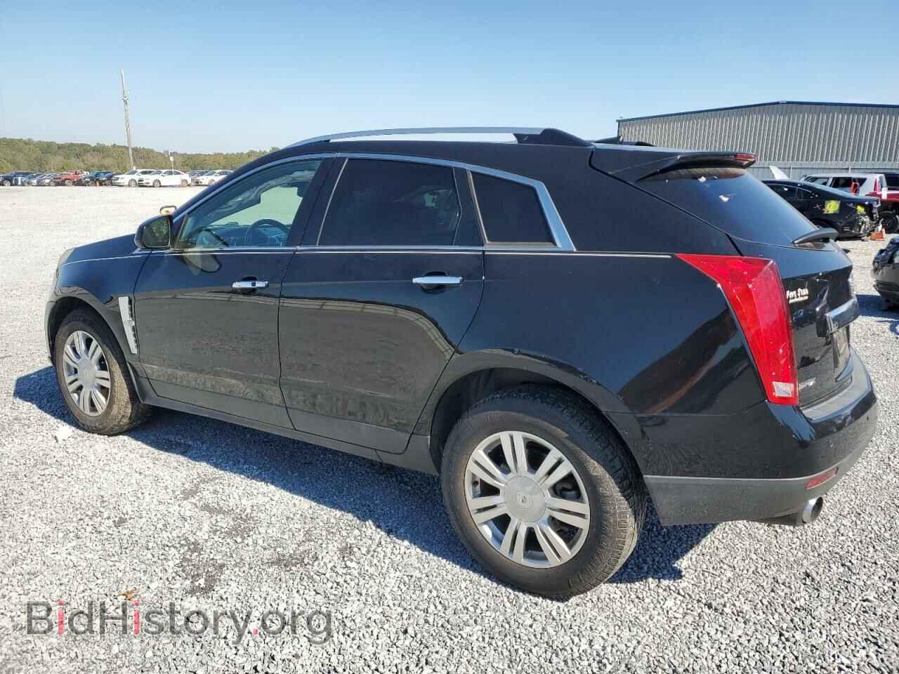 2011 CADILLAC SRX - VIN: 3GYFNAEY4BS557581 - Фото 2