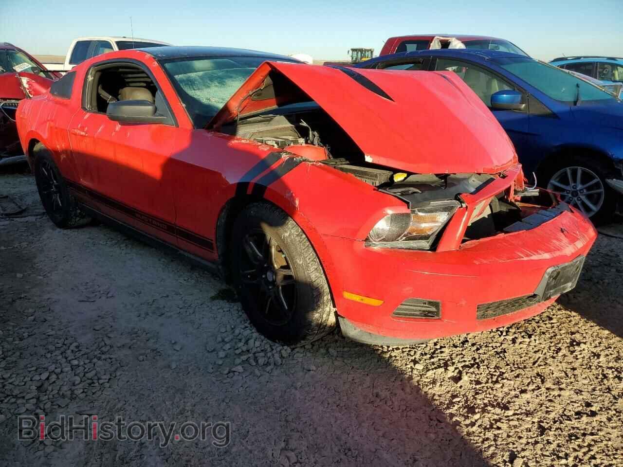 2012 FORD ALL Models - VIN: 1ZVBP8AM0C5273139 - Фото 4